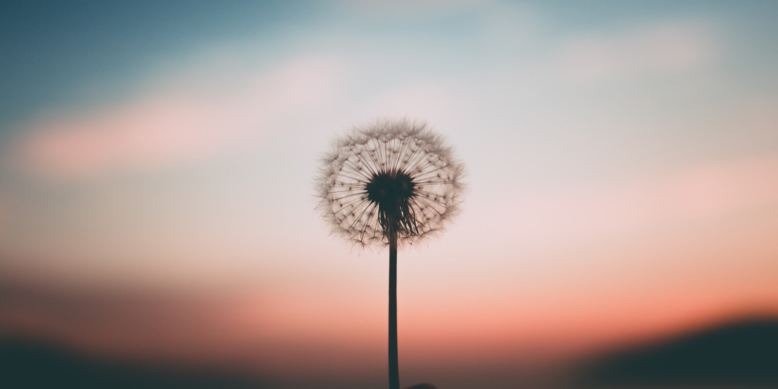 Meditație