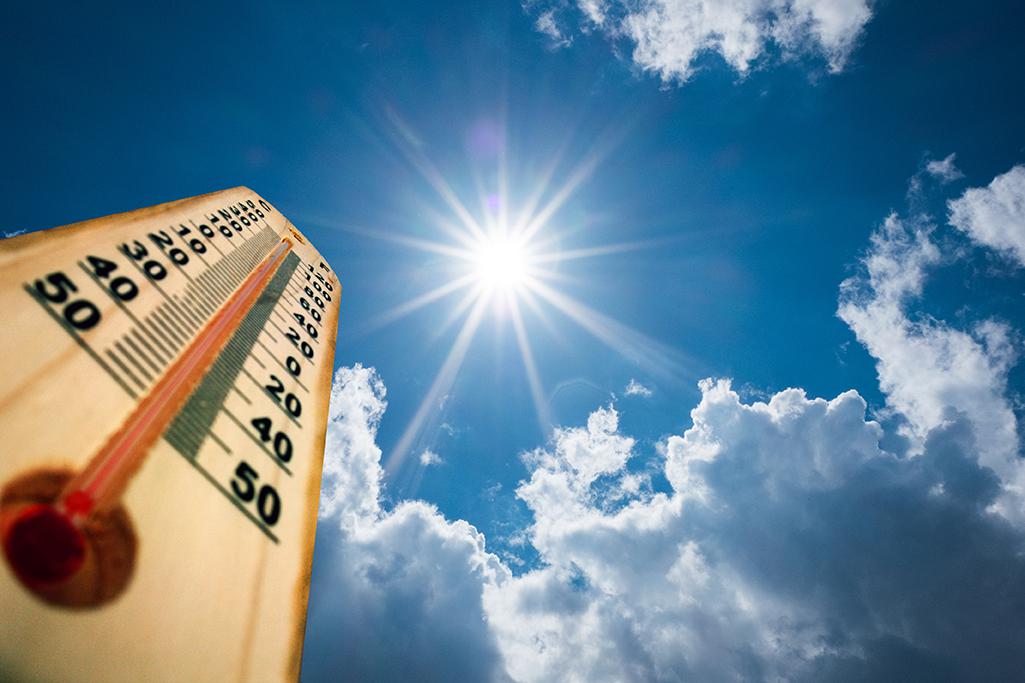 7 mixuri pentru caniculă