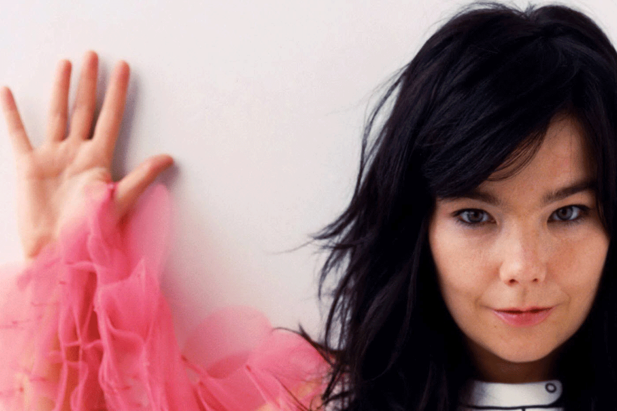 Bjork Fever Ray