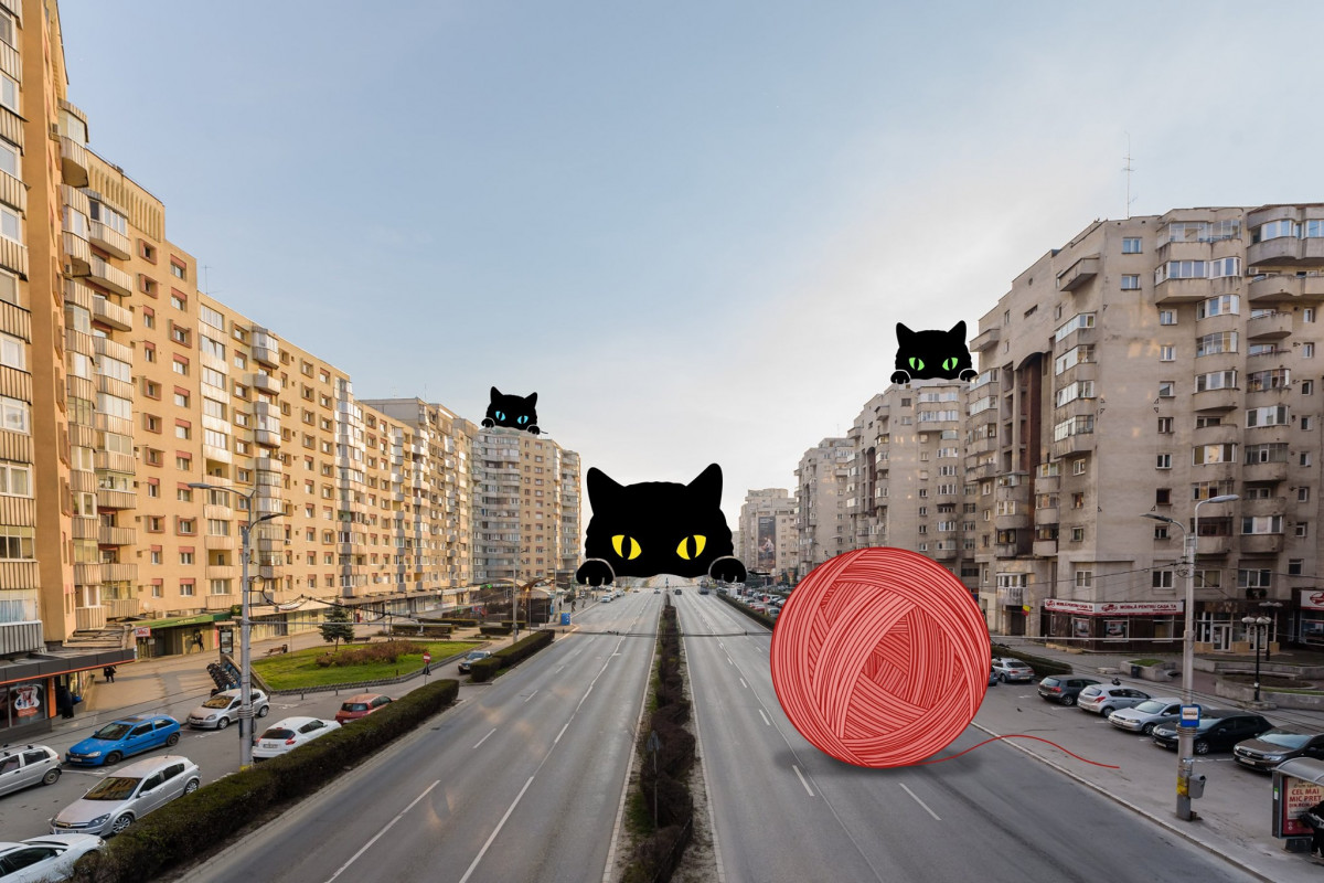 © Iulia Mitea. Cluj Napoca