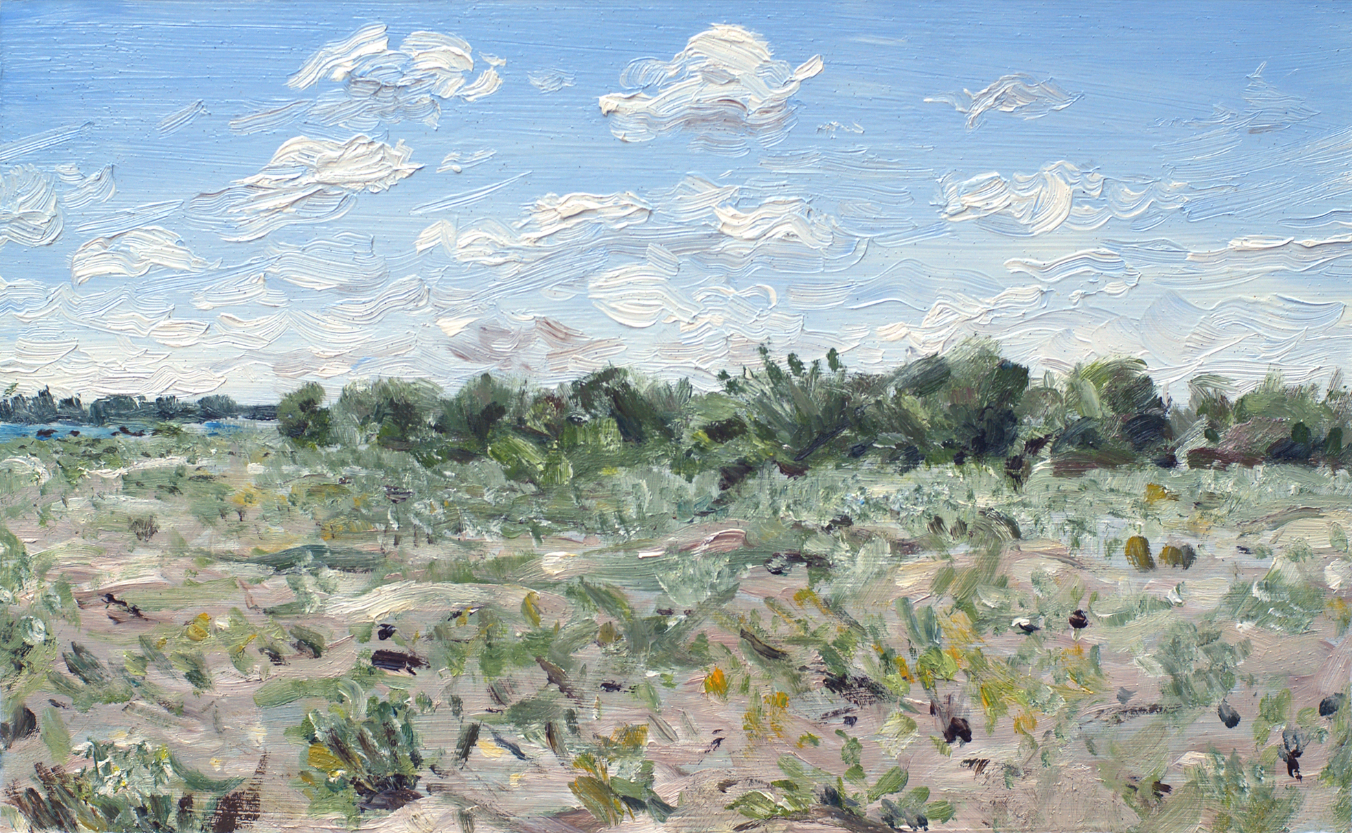Constantin Rusu - Plajă la Marea Neagră, la gura de vărsare a brațului Sf. Gheorghe al Dunării ulei pe hârtie preparată maruflată pânză, 16,5 x 26,5 cm, 2012. Foto: Constantin Rusu