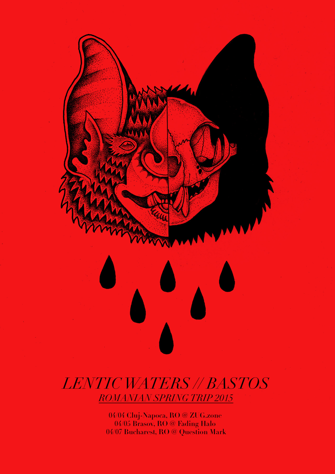 Poster pentru tour-ul Lentic Waters // Bastos (2015)